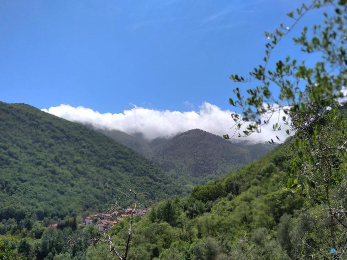 La Cantina Del Sole Villa Riccò del Golfo di Spezia Exterior foto